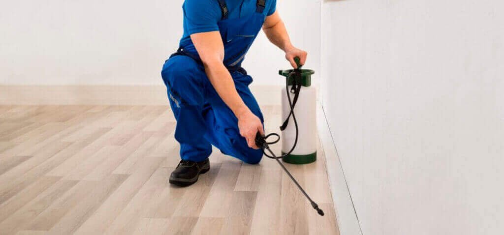 Serviço de dedetização profissional